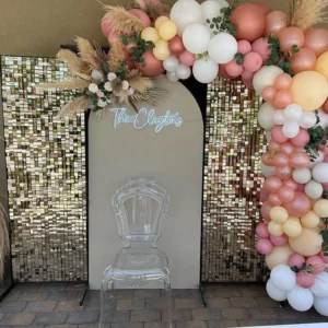Premium Simmer Sequence Panels Backdrop with balloon